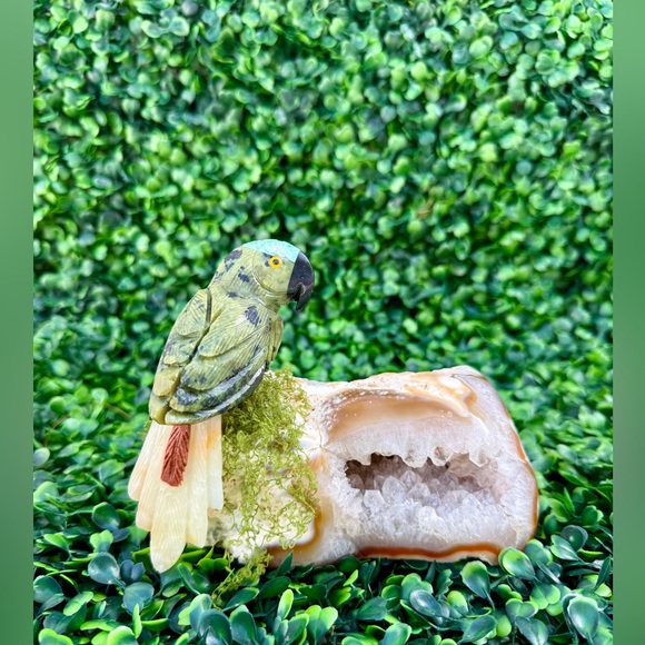 Parrot carving on Agate Geode – Symbol of Awakening & Joy - Picture 3 of 6